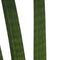Decorum Sansevieria Cylindrica met Elho brussels antracite