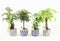 Jungle Mix in Delft-Blue Keramiek