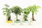 Jungle Mix in Two Tone keramiek