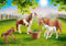 Playmobile Playmobil Country Ponys met veulens