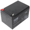 Fiamm FG21201 12V 12Ah lead battery AGM lead gel battery