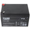 Fiamm FG21201 12V 12Ah lead battery AGM lead gel battery