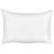 Beliani VEGLINO - Tuinkussen set van 2 - Blauw - 40 x 60 cm - Polyester