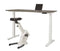 Ergonomisch elektrische verstelbaar zit/sta bureau Teez breed 140CM diep bladkleur Speciale Kleur fr