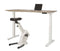 Ergonomisch elektrische verstelbaar zit/sta bureau Teez breed 180CM diep bladkleur Speciale Kleur fr