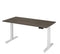 Ergonomisch elektrische verstelbaar zit/sta bureau Teez breed 140CM diep bladkleur Speciale Kleur fr