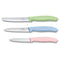 Victorinox Schilmessenset Roze, blauw, groen