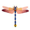 Deluxe Pink dragonfly