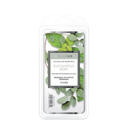 CLASSIC WAXMELT EUCALYPTUS MINT