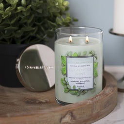 Small classic cylinder eucalyptus mint - 311g (11oz)