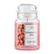 Large jar Strawberry kiss - 623g - Purple River