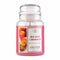 Large jar Red apple cinnamon - 623g - Purple River