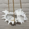 SCHELP SPIKES HANGENDE PLANTENBAK - PARLANE