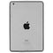 Générique Softcase Backcover iPad Mini / 2 / 3 - Transparant