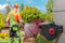 Fiat Professional - Tuinslang met wandmeubel - 20 meter