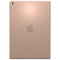 Renewd iPad 9.7