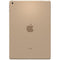 Renewd iPad 9.7