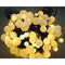 EGB LED ball light chain 40 ww LED 3m