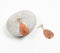 Sepia Resin Retro Drop Earrings