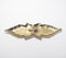 Aluminum Cast Golden Maple Leaves Trinket Dish