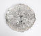 Antique Aluminium Coral Wall Plate