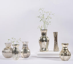 Assorted Silver-Toned Mercury Glass Vases (set of 6)