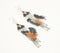 Chain-Tasseled Bohemian Earrings