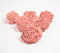 Coral Rose eco-friendly shola wood flowers (set of 6)