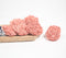 Coral Rose eco-friendly shola wood flowers (set of 6)