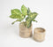 Distressed-Wood Ribbed Vases (Set of 2)