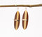 Earthy Tones Wooden Squash Tail Earrings