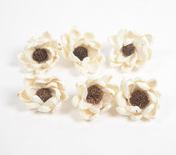Eco-friendly Handcrafted Dry Shola Wood Flower (Set of 6)