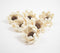 Eco-friendly Handcrafted Dry Shola Wood Flower (Set of 6)