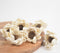 Eco-friendly Handcrafted Dry Shola Wood Flower (Set of 6)
