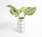 Enamelled Mango Wood Monochrome Flower Vase