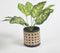 Faux Leather Black Planter