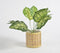 Faux Leather Lemon Yellow Planter