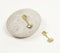 Gold-Toned Textured Shell Drop Earrings