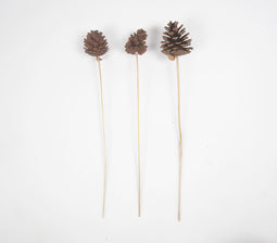 Handcrafted Pine Wood Flower Sticks (Set of 3)