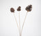 Handcrafted Pine Wood Flower Sticks (Set of 3)