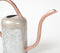 Handmade Glossy Metal Watering can