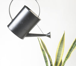 Handmade Metal Oblong-Headed Watering can