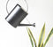 Handmade Metal Oblong-Headed Watering can