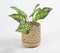 Handwoven Kauna Grass Planter
