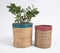 Handwoven Water Hyacinth Cylindrical Planter (Set of 2)