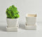 Ivory Ceramic Mini Flower pots (set of 2)