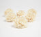 Ivory Carnations eco-friendly shola wood flowers (set of 6)