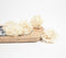 Ivory Carnations eco-friendly shola wood flowers (set of 6)