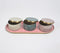 Pastel Enamelled Iron Oval Tray with 3 snack Boxes