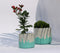 Playful Teal Concrete Planters (Set of 2)